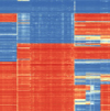 thumbnail image from paper