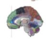 thumbnail image from paper