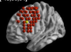 thumbnail image from paper
