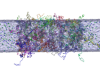 thumbnail image from paper