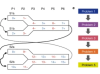 thumbnail image from paper