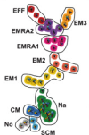 thumbnail image from paper
