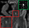 thumbnail image from paper