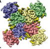thumbnail image from paper