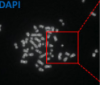 thumbnail image from paper