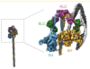 thumbnail image from paper