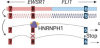 thumbnail image from paper