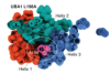 thumbnail image from paper
