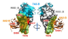 thumbnail image from paper