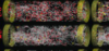 thumbnail image from paper