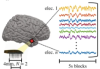 thumbnail image from paper