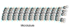 thumbnail image from paper