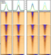 thumbnail image from paper