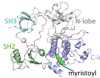thumbnail image from paper