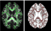 thumbnail image from paper