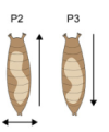 thumbnail image from paper