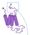 thumbnail image from paper