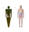 thumbnail image from paper
