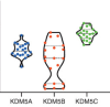 thumbnail image from paper