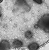 thumbnail image from paper
