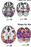 thumbnail image from paper