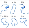 thumbnail image from paper