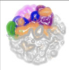 thumbnail image from paper