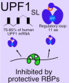 thumbnail image from paper