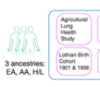 thumbnail image from paper