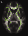 thumbnail image from paper