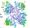 thumbnail image from paper