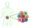 thumbnail image from paper