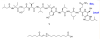 thumbnail image from paper
