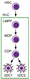 thumbnail image from paper