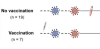 thumbnail image from paper
