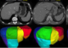 thumbnail image from paper