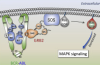 thumbnail image from paper