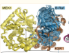 thumbnail image from paper