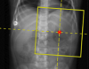 thumbnail image from paper