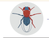 thumbnail image from paper