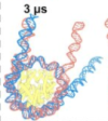 thumbnail image from paper