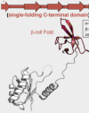 thumbnail image from paper