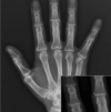 thumbnail image from paper