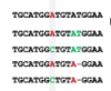 thumbnail image from paper