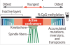 thumbnail image from paper