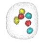 thumbnail image from paper