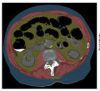 thumbnail image from paper