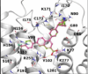 thumbnail image from paper
