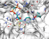 thumbnail image from paper