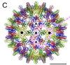 thumbnail image from paper